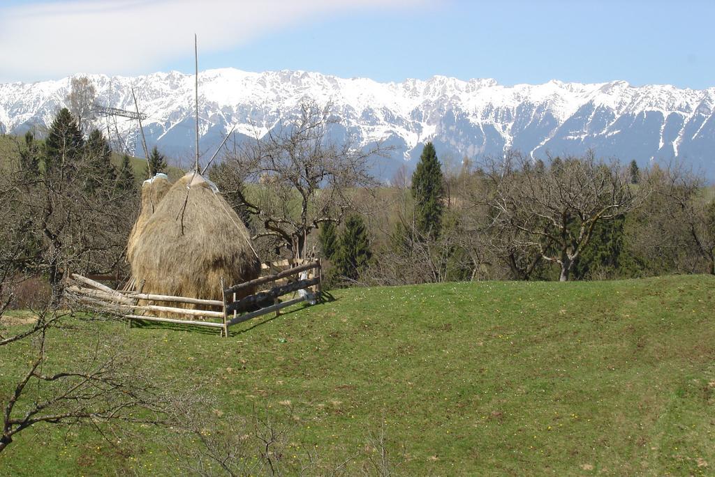 La Dolce Vita Otel Bran  Dış mekan fotoğraf